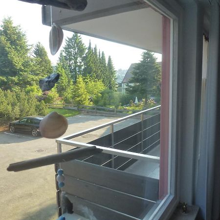 Moderne, Ruhige Ferienwohnung In Braunlage Harz Inkl Wlan & Netflix Экстерьер фото