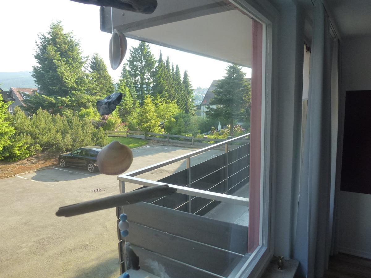 Moderne, Ruhige Ferienwohnung In Braunlage Harz Inkl Wlan & Netflix Экстерьер фото