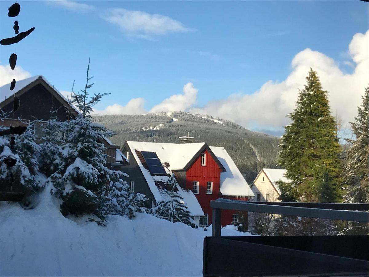 Moderne, Ruhige Ferienwohnung In Braunlage Harz Inkl Wlan & Netflix Экстерьер фото